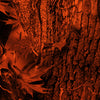 Nature Orange Forest Camo Vinyl Wrap