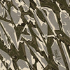 RELV X1 Dynohyde Camo Rear Window Graphic